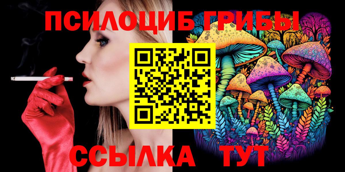 Псилоцибиновые грибы Psilocybe Унеча